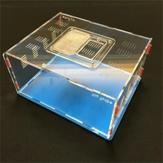 개미 포도 시리즈 XL 사이즈 활동 영역 농장 아크릴 곤충 둥지 빌라 애완동물 고급 집안, 01 XL, 03 blue