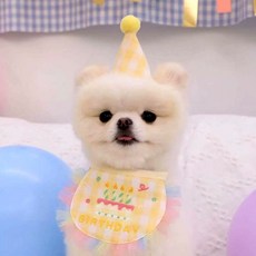 알파벳샵 강아지 고양이 생일 파티 고깔 세트 * 2개, 노랑, 1세트