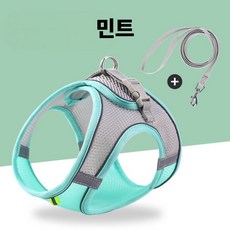 썸씽슈츠 강아지 고양이 벨크로 야광 빛반사 하네스 견인 로프 세트, 1세트, 민트