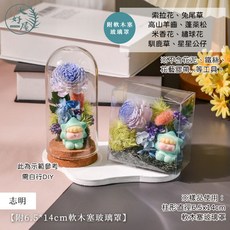 大好屋 聖誕節永生花材料包 DIY 乾燥花材料包 聖誕裝飾, 志明【附6.5*14cm軟木塞玻璃罩】