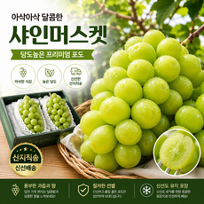 국내산 샤인머스켓 고당도 망고포도 프리미엄 포도 산지직송, 1박스, 2kg (3~6수)