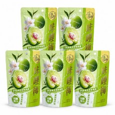 류류메이 아삭한 중국 청 매실 낱개포장 간식 자스민 맛 5개, 136g