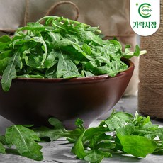 [온도씨]가락시장 당일경매 루꼴라 300g, 1개, 상세 설명 참조