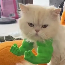 寵物掛脖手臂3D列印惡搞貓貓浩克手臂裝飾，趣味貓咪變身，輕巧舒適無負擔, 1個, 綠色,小號14X12.5X6.9 cm