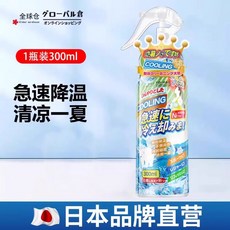 涼感噴霧 爽身噴霧 清涼噴霧 降溫噴霧 衣物降溫劑 快速散熱, 1個, 500g