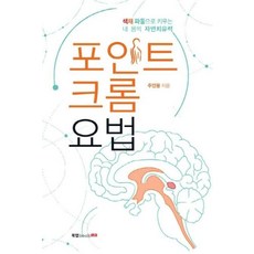 포인트 크롬 요법