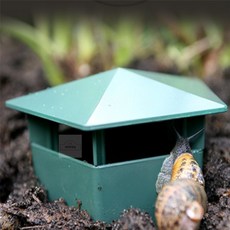 로라디자인 달팽이 집 달팽이키우기