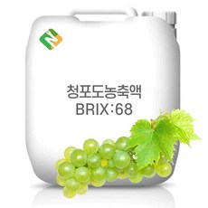 청포도농축액 68Brix 200g 샘플, 1개