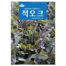 적오크 씨앗 오크립 3000립 씨, 4개