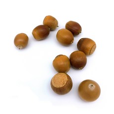 도토리 팽이 자연물놀이 공예 채색놀이, 도토리 10개