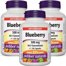 슈퍼푸드 블루베리 추출물 안토시아닌 항산화 영양제 3세트1통120캡슐 캐나다직배송 웨버네츄럴, 3개, 120정