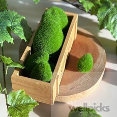 웰픽스 가짜 이끼 돌 세트 10입, 1개