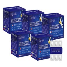 일양약품 관절연골에존 콘드로이친, 5개, 60정