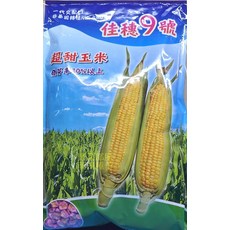 佳穗9號 超甜玉米種子 一代交配 早生品種 耐熱 米粒大 甜度高, 1包