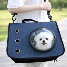 몽글펫 반려동물 강아지 이동가방 고양이 캐리어 반려묘 이동장, 1개, 블루