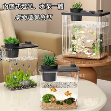 桌面造景魚缸，內嵌式燈光、水泵一體，AS材質, 1個, 黑色大號-桌麵魚缸菠蘿屋套餐,亞剋力材質