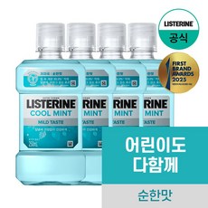 리스테린 쿨민트 마일드 구강청결제, 250ml, 4개