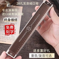 하모니카 고품질 전문가용 폴리포닉 프로 초보자 28홀 악기, c. 28홀 악센트 C키 전체 세트