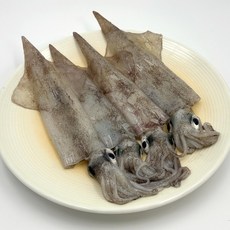 지구마을 국내산 동해안 급냉 한치, 1개, 1kg