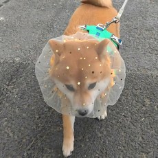 소형견 메쉬 입마개 핥음방지, 03.핥기 방지 입마개 3개입