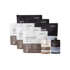 일일하우 슬리밍 플랜B 식사대용 단백질 쉐이크 다이어트 식물성 파우치 귀리 14입 + 카카오 7입 45g 21개