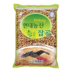 현대농산 수입 병아리콩 1kg, 1개