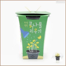한컵 쑥쑥 콩나물 키우기 반려식물 자연체험 생태교육 홈가드닝 미니화분