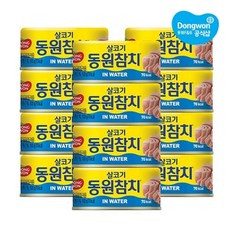 동원 동원참치 인 워터 100g x 12개