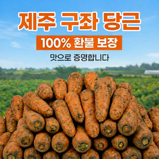 [초특가할인]마진없는 산지직송 제주구좌 흙당근, 1박스, 1kg(중)