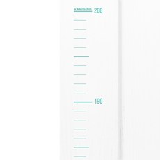 라라운드 자체제작 심플 키재기 스티커 200cm, 투명 민트