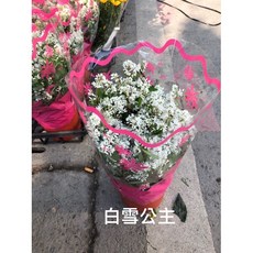 霏霏園藝 白雪公主人工盆栽, 1個