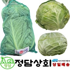 [ 정담상회 ] 국내산 양배추샐러드용 5kg내외(수량 랜덤), 5kg, 1박스