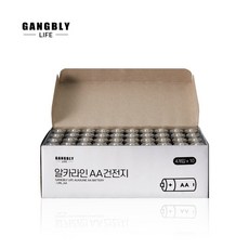 강블리 알카라인 AA 건전지, 2개, 40개입