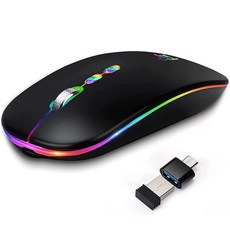HOTLIFE LED 무선 마우스 슬림 충전식 무소음 휴대용 USB 광학 2.4G 무선 블루투스 2모드 컴퓨터 마우스 USB 수신기 및 타입 C 어댑터 포함 (블랙), 01Black