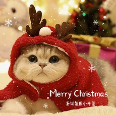 寵物聖誕裝飾斗篷，鹿角與聖誕樹造型，適合貓狗，秋冬節日服飾, 1個, 聖誕樹斗篷,S【推薦2-5斤】