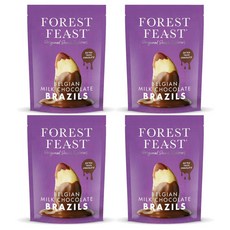 Forest Feast 포레스트피스트 밀크초콜릿 브라질넛, 4개, 120g