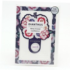 씨앗 패랭이꽃 씨앗키트 카드 선물 단체 꽃씨앗 식물키우기 새싹씨앗 씨앗재배 원예체험, 본상품