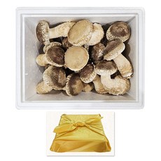 [햇담송화]무농약 국내산 송화 최고급형 송고 송화고버섯 1kg구매시 건조송화버섯 증정, 1박스, 1kg(보자기포장)