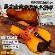 潔特力樂器 全實木烏木虎紋小提琴 全烏木配件 電子濕度計四方盒, 1個, 老手換琴簡配方案,4/4 (145cm以上)
