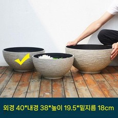플라스틱 수반 오아시스 연꽃 수경 연못 어항 물고기, 샌드 칼라 M (40x19.5cm)