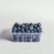 신선한 생블루베리 생과 왕특 18mm 이상, 1개, 500g