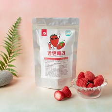 13월의농장 동결건조딸기칩, 4개, 12g