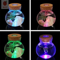 방울스토어 마리모 LED 유리병 10x11cm 마리모어항