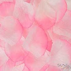 실속플라워샤워꽃잎 약100개입 색상선택, 9. 화이트분홍