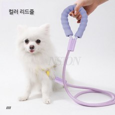 NSION 반려동물 산책용 나일론 컬러 로프 리드줄 2m, 1개, 퍼플
