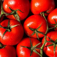 따자마자 보내주는 신선한 정품 완숙 토마토, 1박스, 토마토 5kg(중소과)