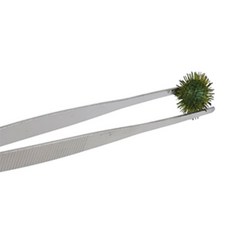 모어 파충류핀셋 스테인리스핀셋