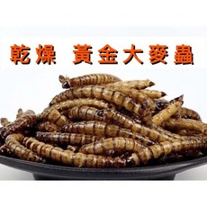 黃金大麥蟲乾乾燥大麥蟲 麥皮蟲乾燥麵包蟲 適用 守宮 烏龜 水龜 澤龜 蜜袋鼯 倉鼠 龍魚 羅漢, 1個, 寵物用淡水魚干100克