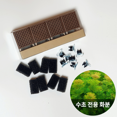 이지포트 초코 1세트 4개입 (소일별매)