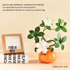 한라봉 수경재배 화분 인테리어 세라믹 도자기 화분, 2_오렌지 꽃병+인조 호박+액자